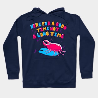 Party Beetle Hoodie